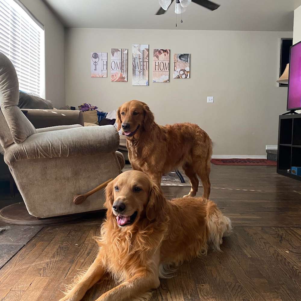 Murphy and Daughter Willow (Lilly Dam)